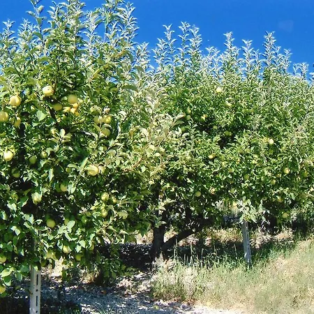 Montalbano Rosignano Monferrato